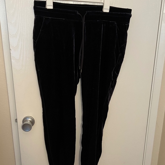Luluemon Velvet Joggers - Picture 1 of 3